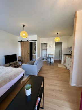 Studio Le petit Larros